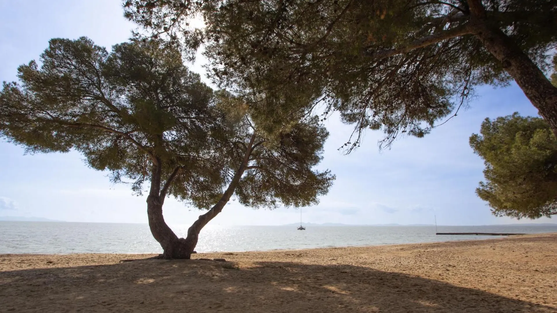 Apartment Les Canoubiers III By Interhome La Londe-les-Maures